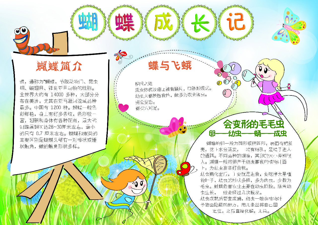 蝴蝶成长记昆虫小报手抄报