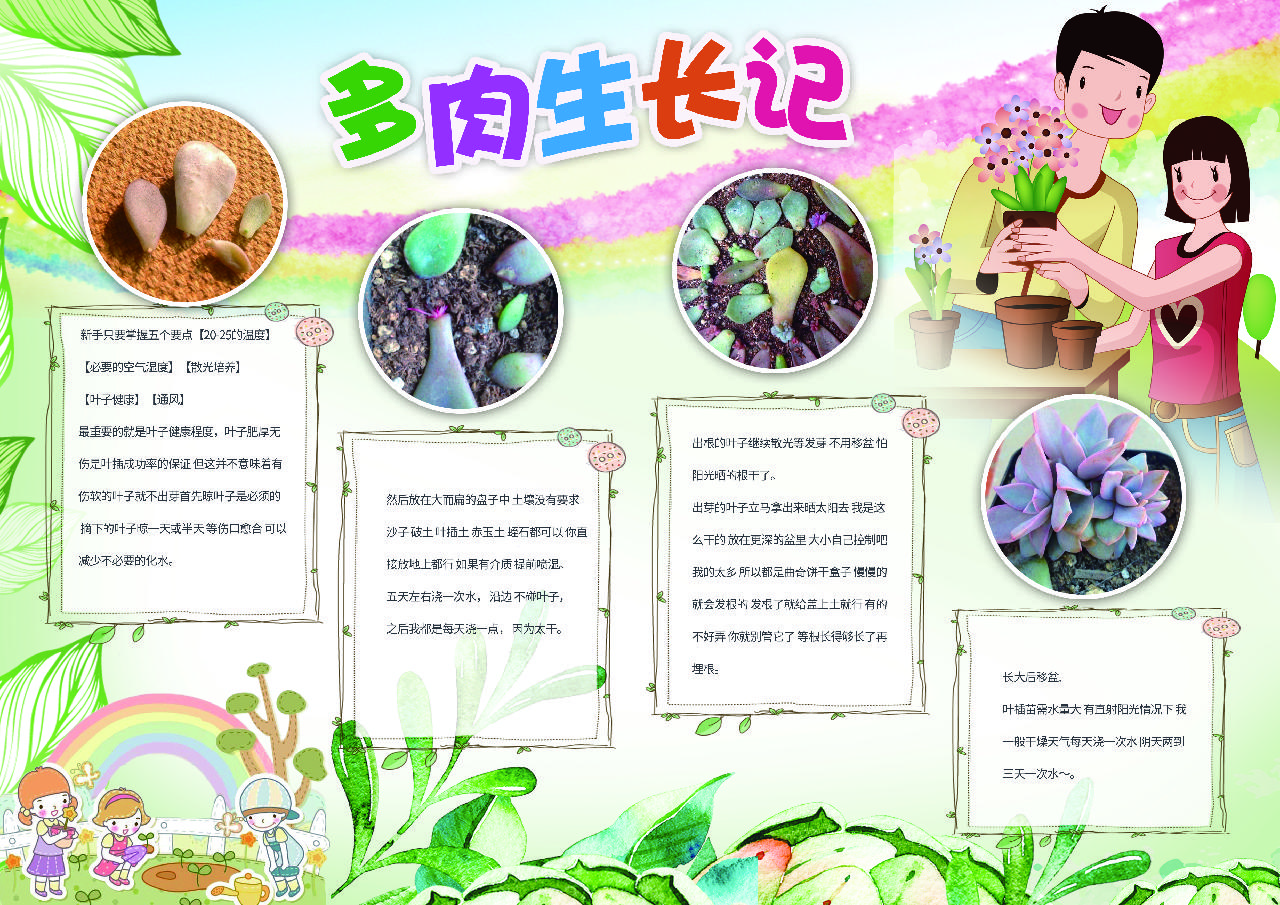 多肉成长记植物生长手抄报