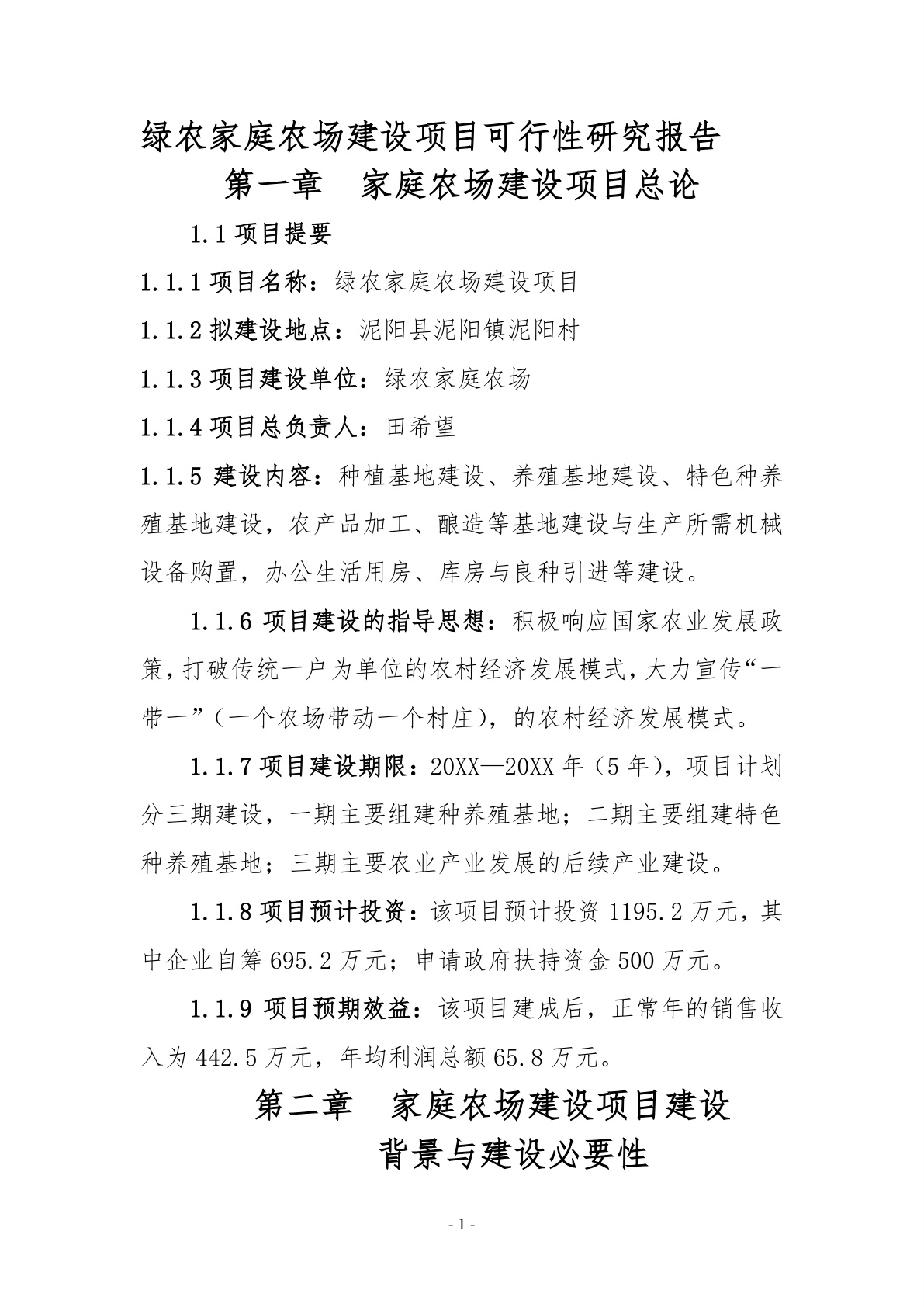 项目可行性报告